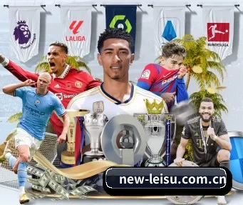 new-leisu.com.cn APP